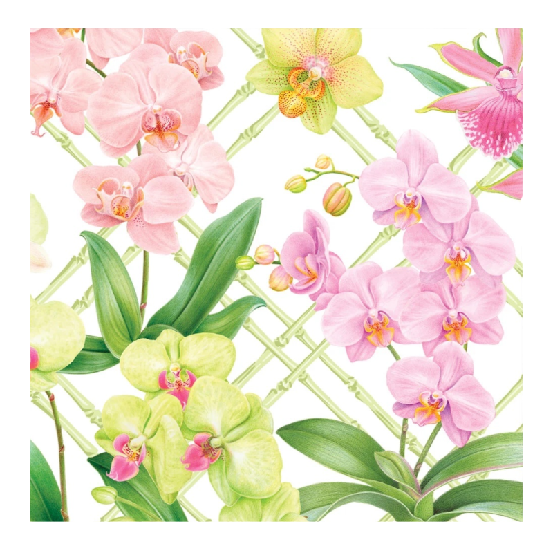 Orchid Conservatory Dinner Napkins Caspari 18370D