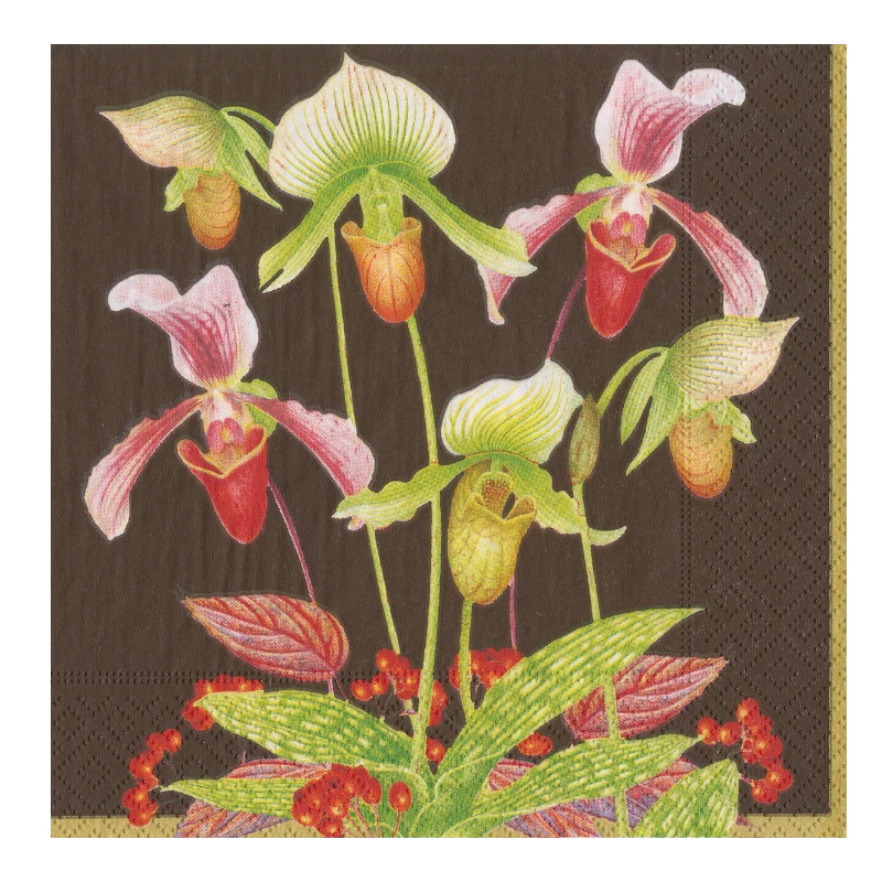 Casapari Napkin Slipper Orchid Chestnut Lunch 16591L