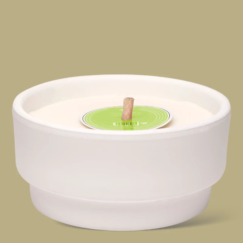Scented candle citronella mint Cereria Molla 1899 MA1301