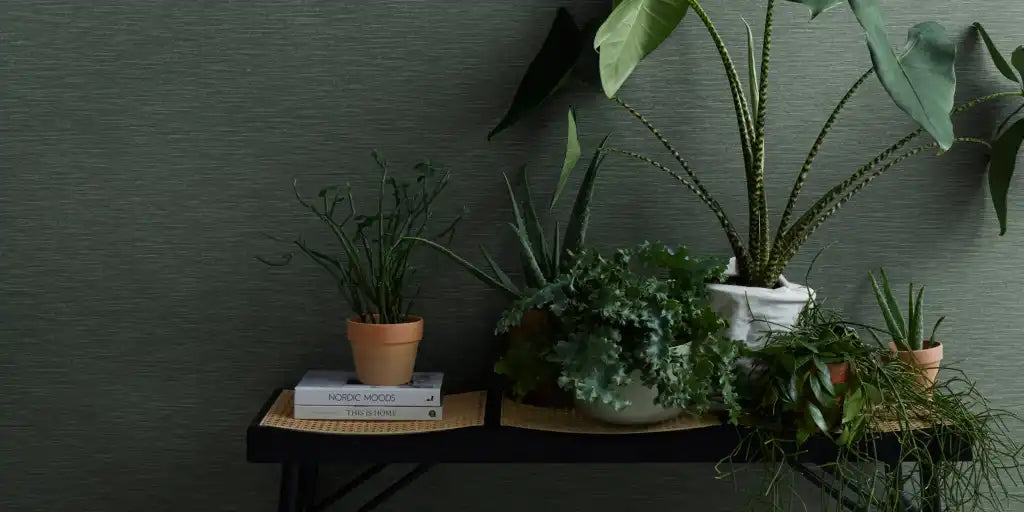 Wallpaper Wallpapers Chrisitian Fischbacher Kalahari