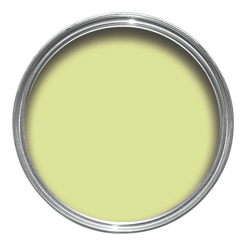 Farrow & Ball Farrow Ball Colors Cristopher John Rogers Yellow Hog Plum CB 1