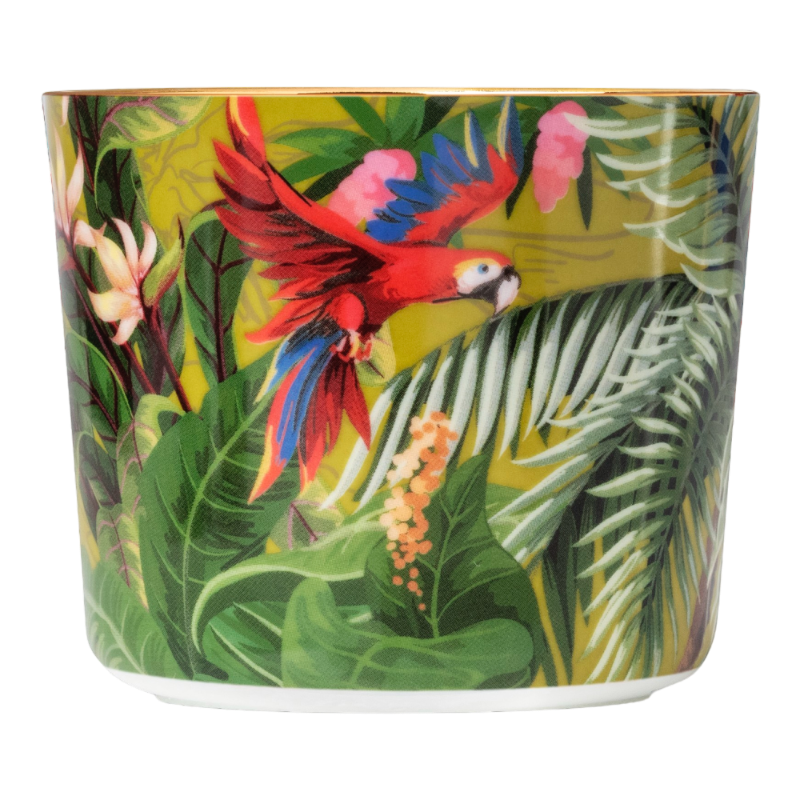 SIEGER by Fürstenberg porcelain Sip Of Gold Champagne tumbler Jungle Paraiso