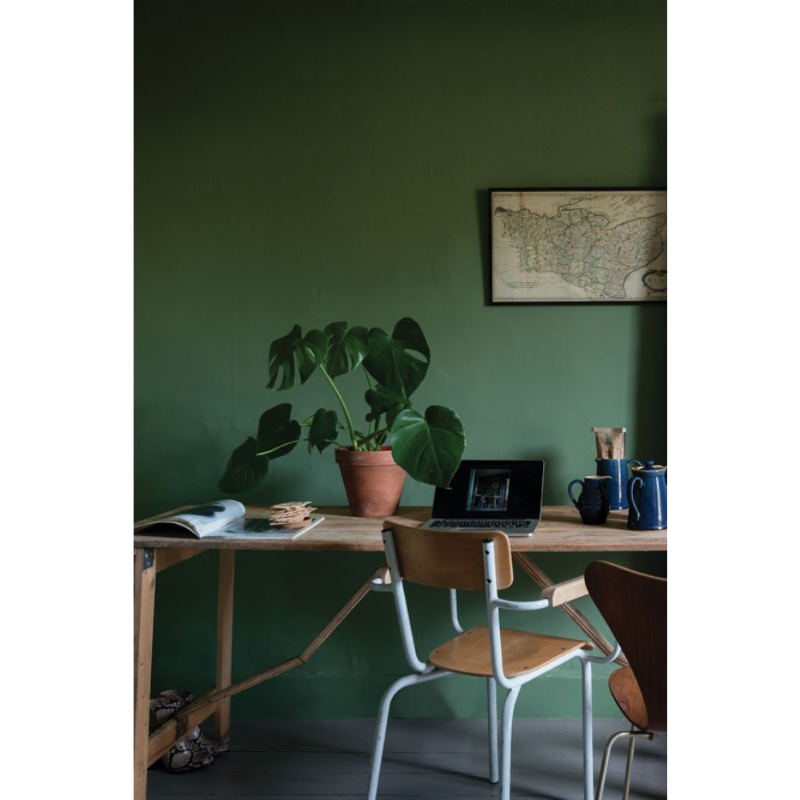 Farrow & Ball Farrow Ball Colors Green Calke Green 34