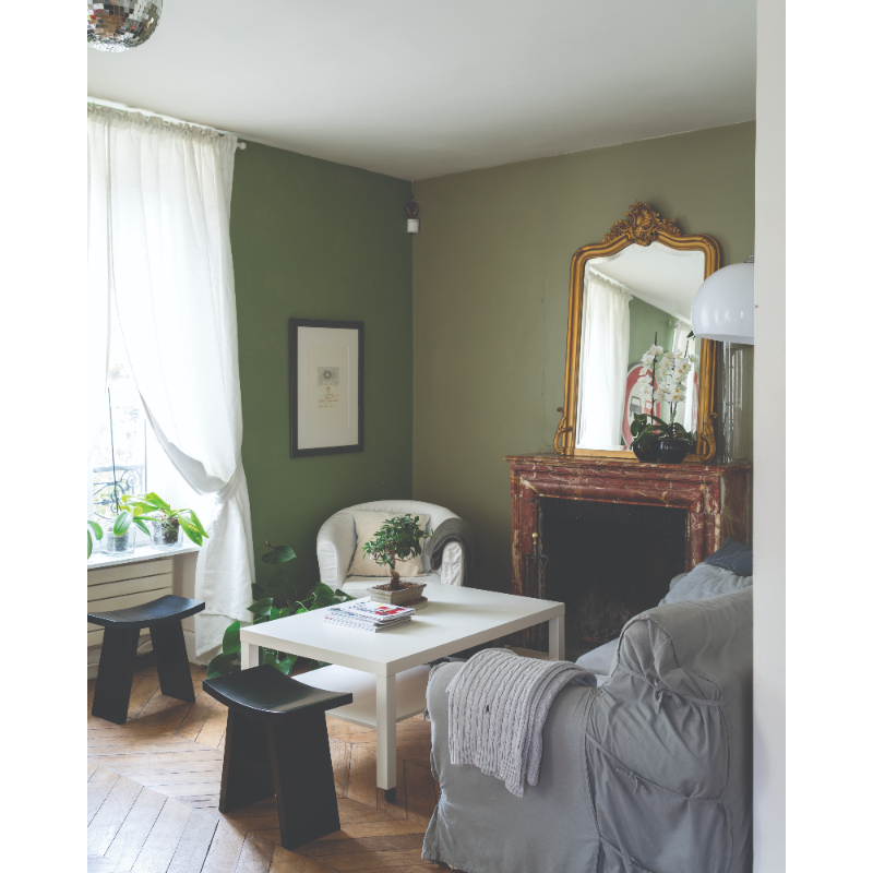 Farrow & Ball Farrow Ball Colors Grey Green Lichen 19