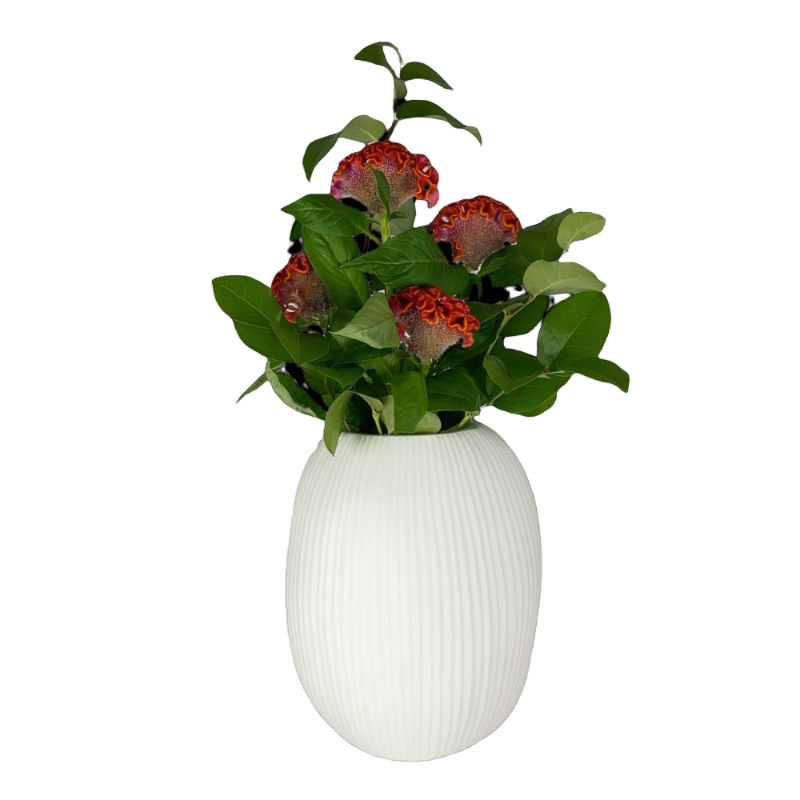 Guaxs vase Nagaa Opal White