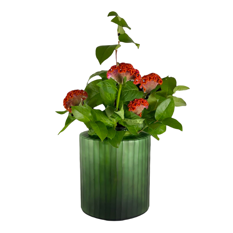 Guaxs vase Omar Lightgreen M