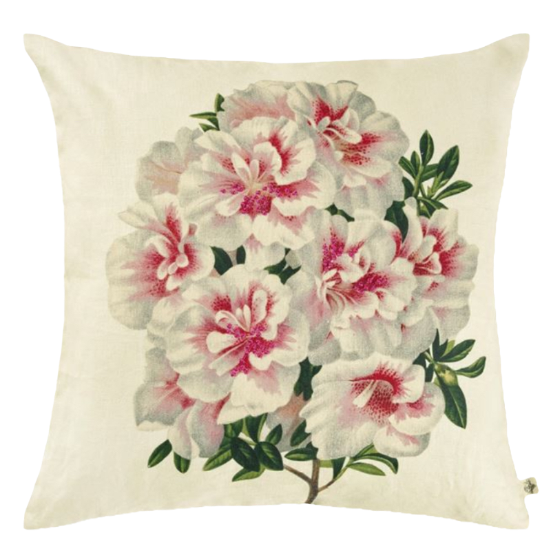 John Derian cushion Variegated Azalea