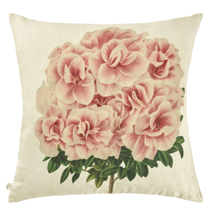 John Derian cushion Variegated Azalea