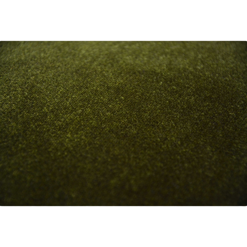 Rohleder Home Collection cushion Cloud Fir green