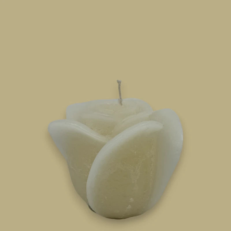 Dekocandle Rose Candle Medium Ivory C40909