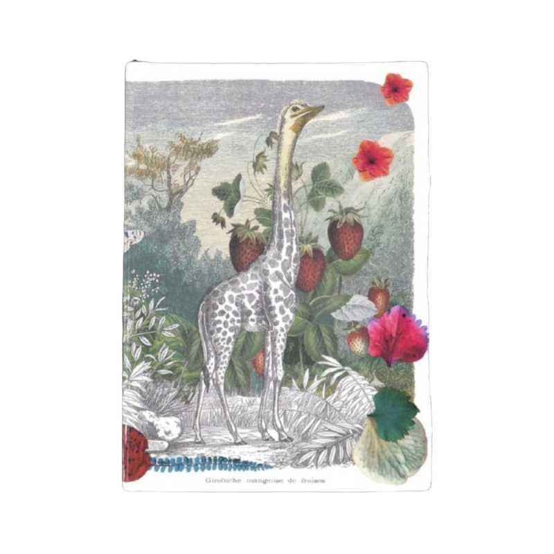 Christian Lacroix Wild Nature Notebook A6